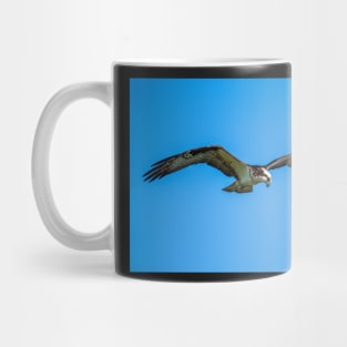 River Hawk Mug